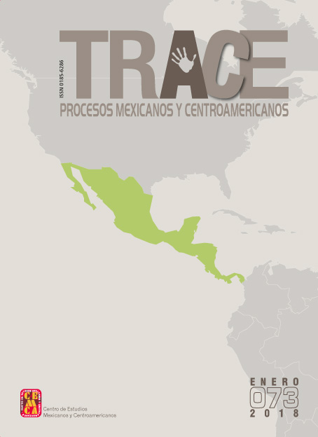 Revista Trace 73